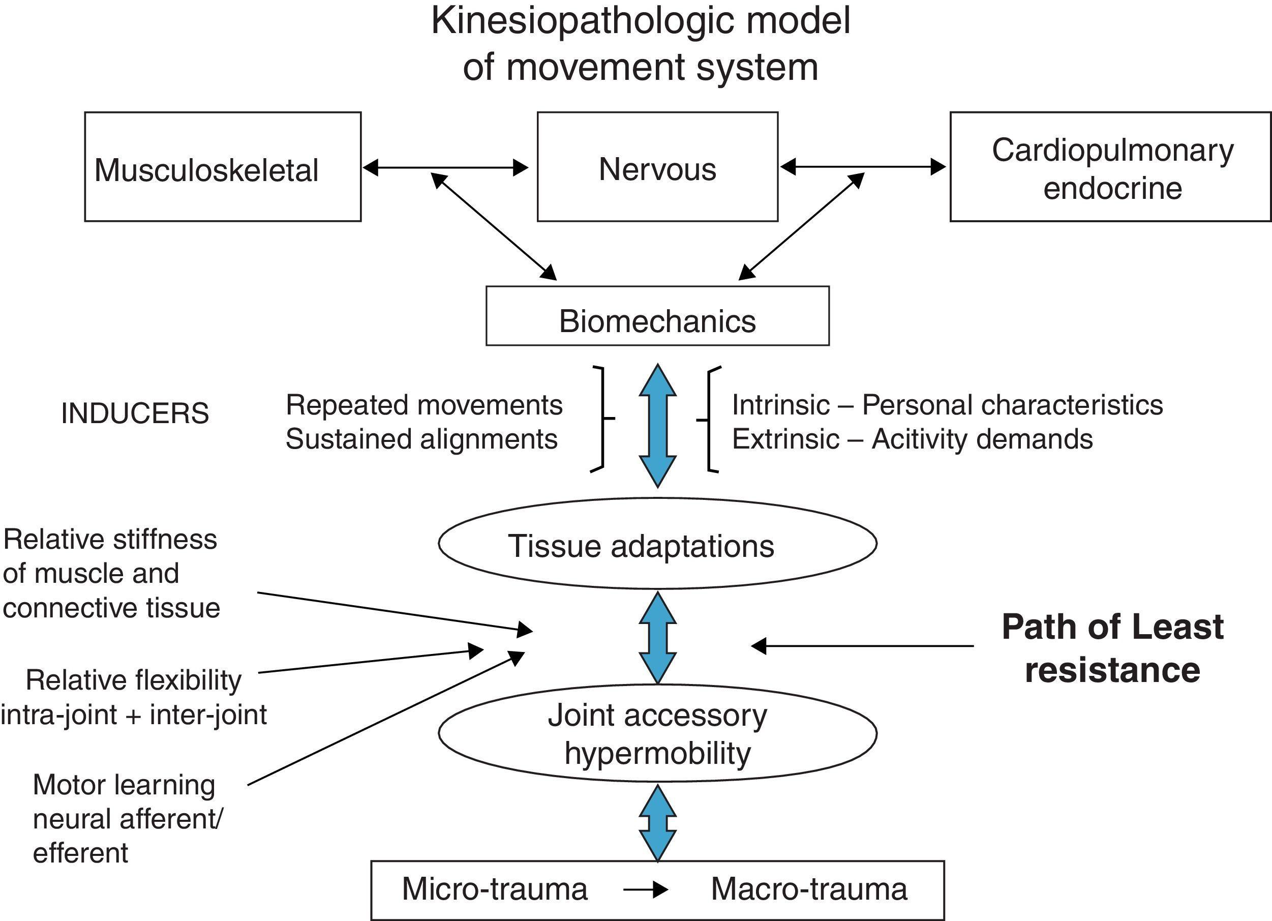 Diagnosis and treatment of movement system impairment syndromes